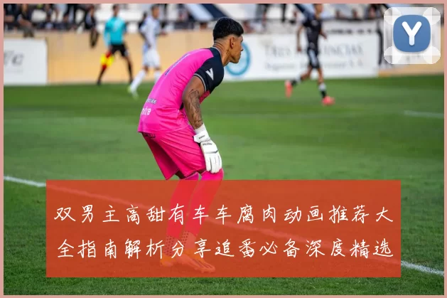 双男主高甜有车车腐肉动画推荐大全指南解析分享追番必备深度精选