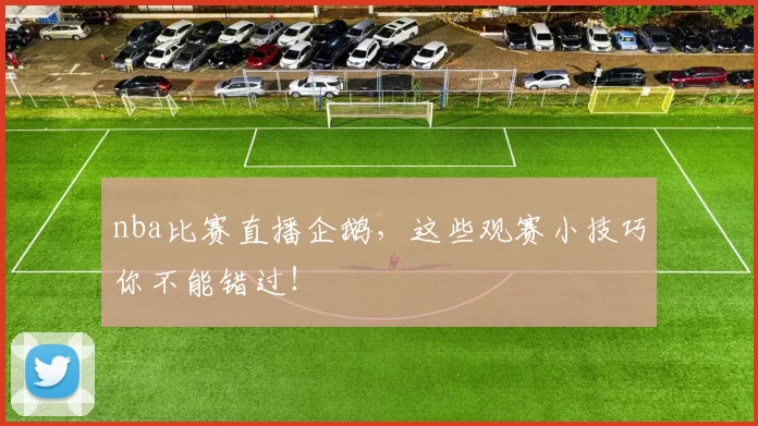 nba比赛直播企鹅，这些观赛小技巧你不能错过！