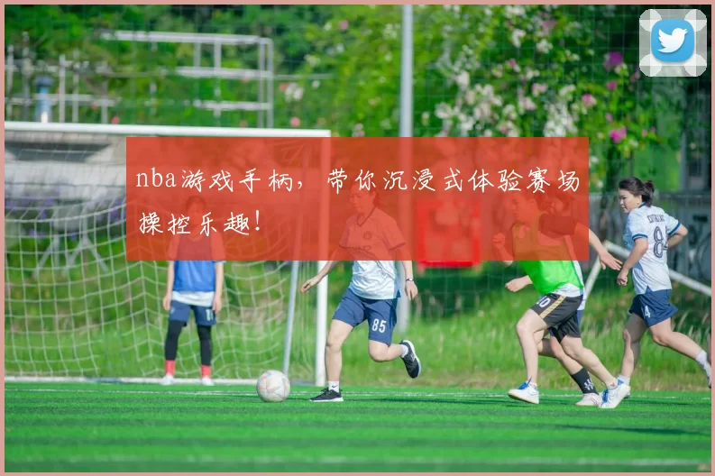 nba游戏手柄，带你沉浸式体验赛场操控乐趣！