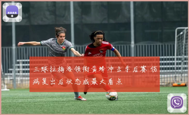 三球拉梅洛领衔黄蜂冲击季后赛 伤病复出后状态成最大看点